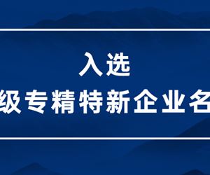 德赢VWIN净化入选江苏省2022年度专精特新中小企业名单